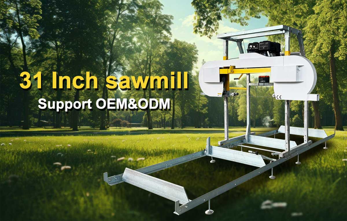 31 pollici portatili